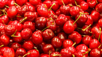 Tart Cherry Juice: Natural Lunesta 