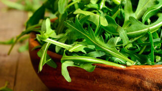 8 Phenomenal Arugula Recipes 