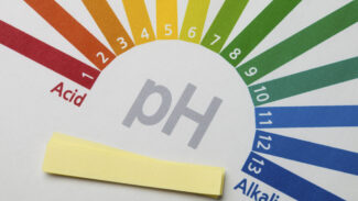 pH 101: Acid-Alkaline Balance & Your Health 