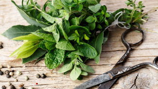 5 Adaptogen Herbs to Reduce Stress